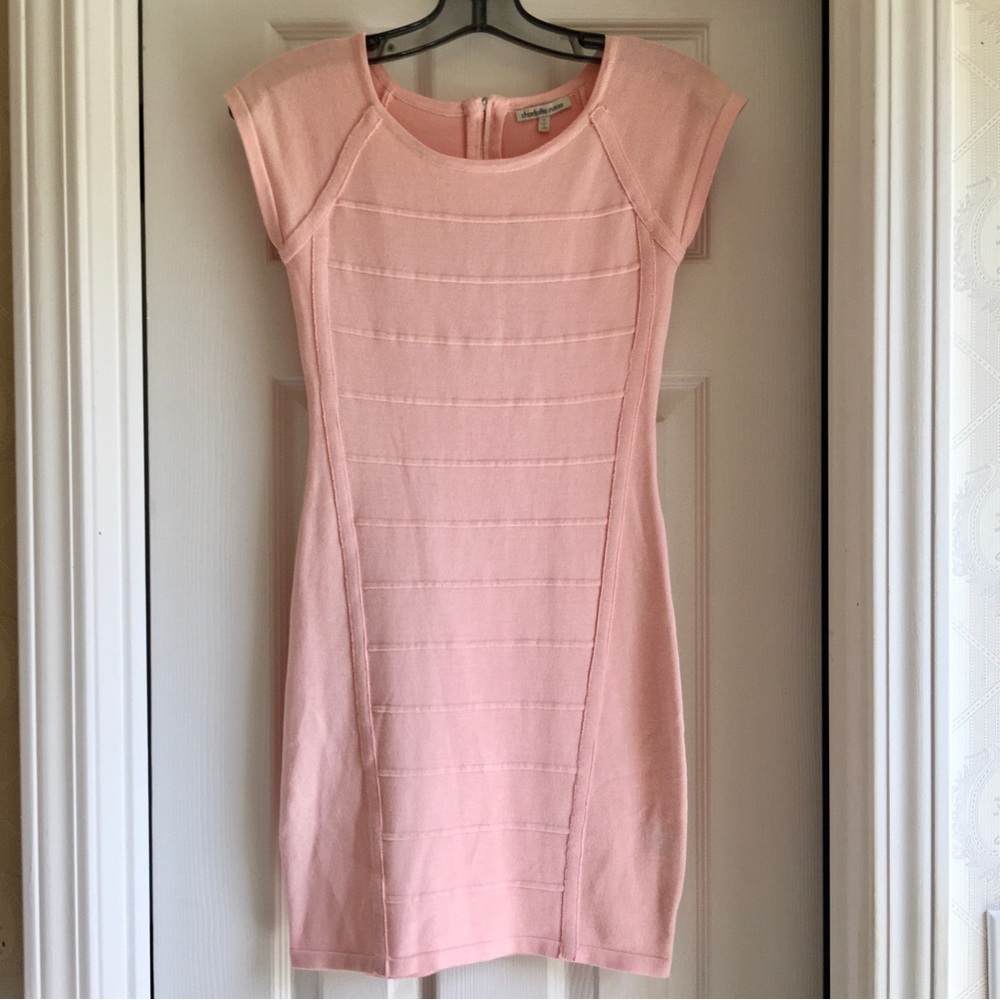 Adorable Charlotte Russe bodycon dress!🌷